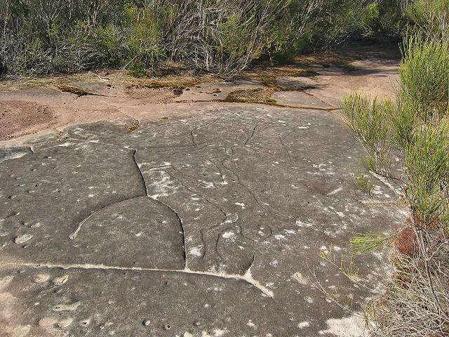 A 250 West Head - Gravure aborigene.jpg
